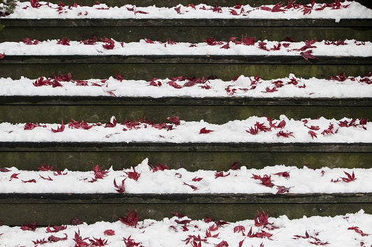 How to Protect Your Outdoor Staircase in the Winter
